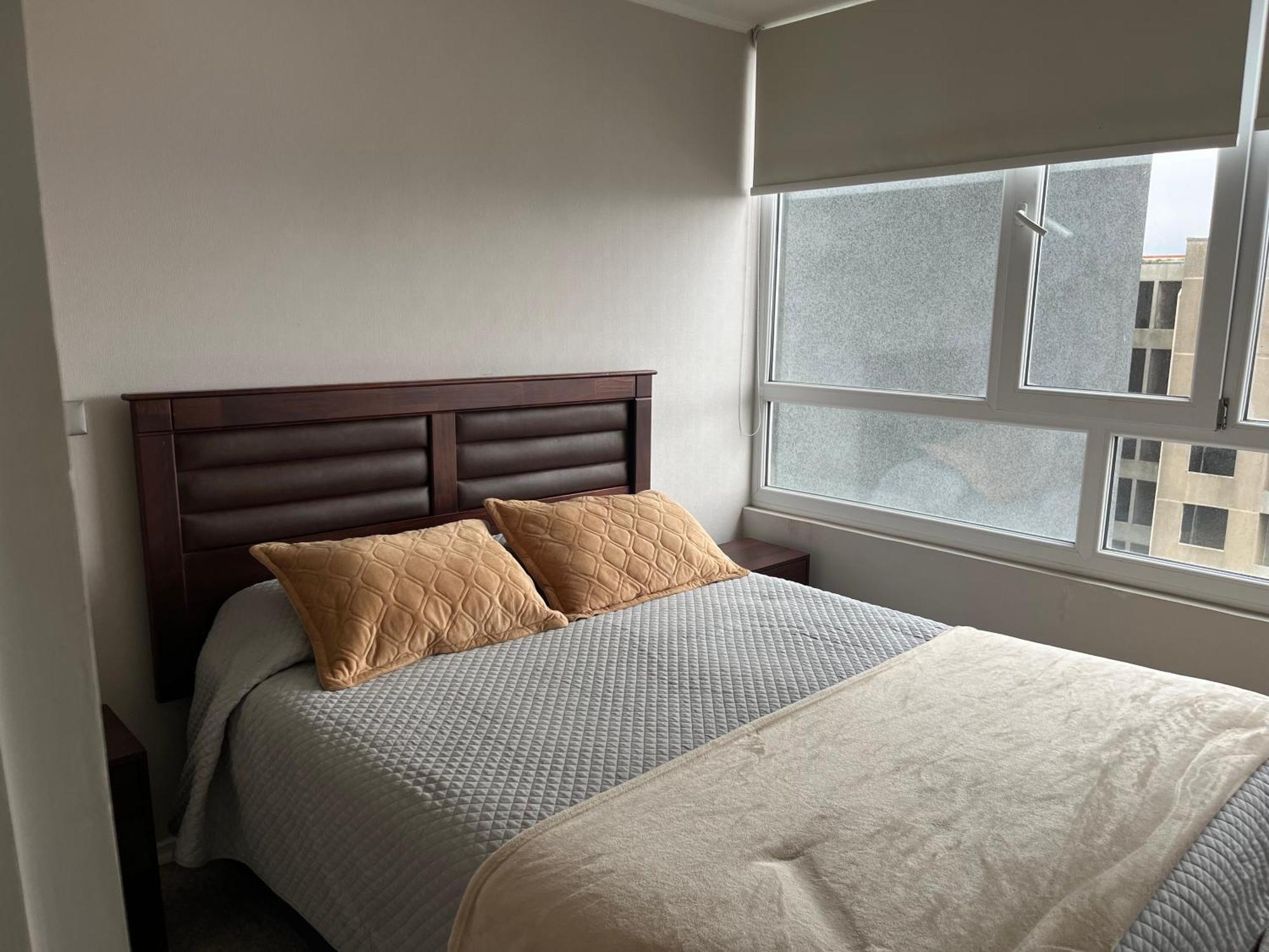 Apartamento Departamento Amoblado Concepción